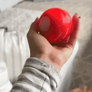 Waggle Ball Interactive