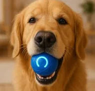 Paws Go Wild – The Unstoppable Waggle Ball 🎾